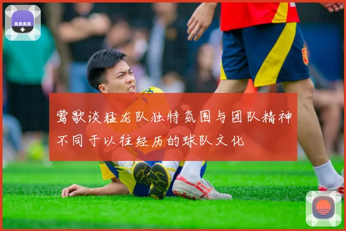 莺歌谈猛龙队独特氛围与团队精神不同于以往经历的球队文化